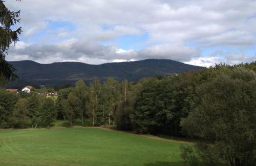 Wohnungen- Christopherhof MJ,Grafenwiesen - Photo 43