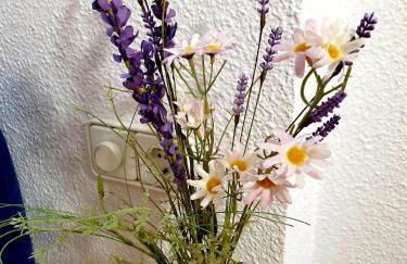 El Faro Albir - Photo 34