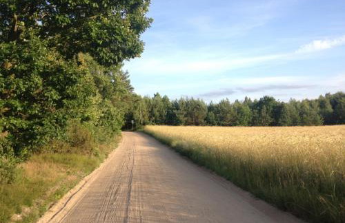 Family House Gowidlino - Foto 32