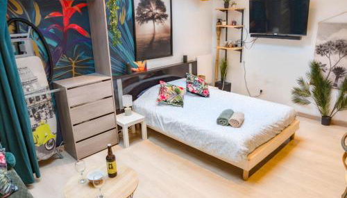 Jungle Studio - 2P à 4P -Henriville - Foto 3