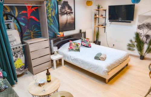 Jungle Studio - 2P à 4P -Henriville - Foto 3