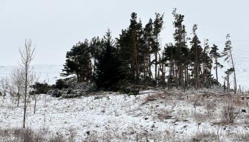 Kiln House, Keltneyburn - Foto 2