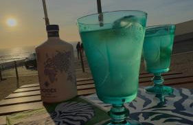 Zambujeira Lounge - Foto 8