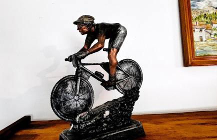 Maison sur la Route du Mont Ventoux - Photo 35