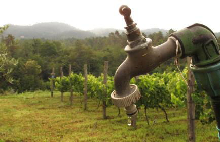 Sostio a Levante Guest House - Foto 81