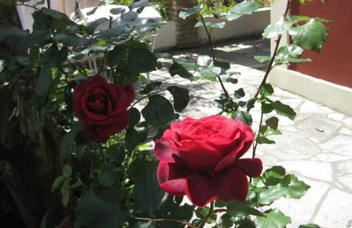 Old cottage in Town - Foto 75