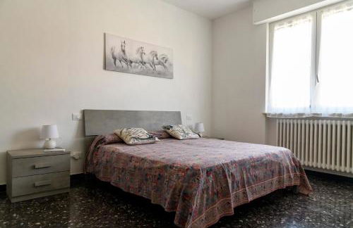 Chiwi's Home 2 - Photo 10