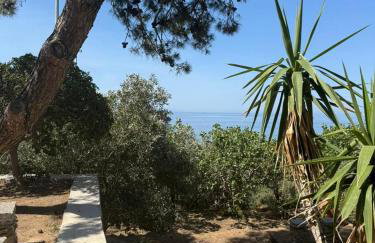 Varvayanni Villa - Foto 41