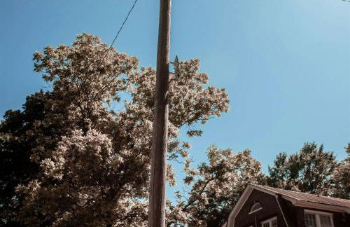 Stegall Manor Estates - Foto 54