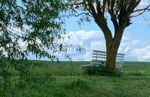 Ferienhäuser Wohlenberg - Baltic Cottages - Foto 8