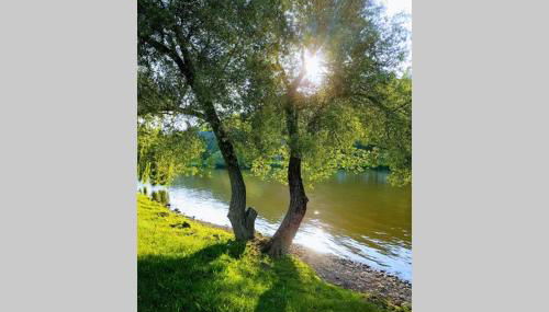 Ferienwohnung 'Burgblick' - Foto 3