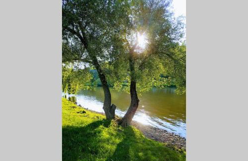 Ferienwohnung 'Burgblick' - Foto 3