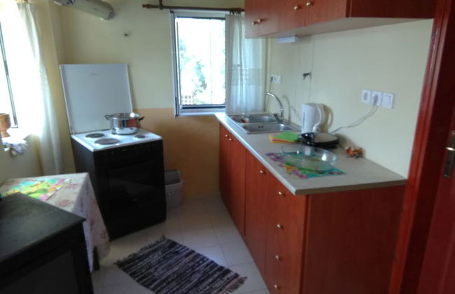 Garden Of Olive Trees - Photo 9