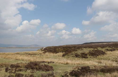 Heron's Lodge - Photo 45