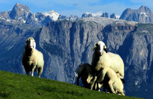 Laerchhof - Photo 31