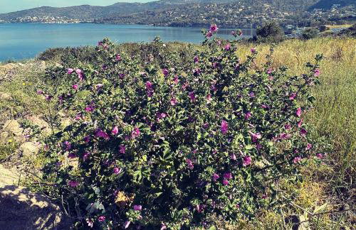 Perdika's Nest, family friendly house by the sea - Foto 3