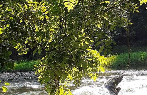 Stadt Land Fluss Plus - Photo 6