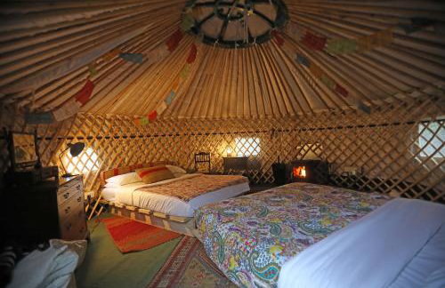 Hapus Yurt - Two Beautiful Yurts and Barn Cottage - Foto 41