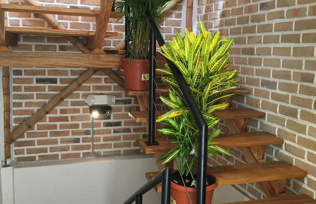 Bambu Sierra - Photo 53