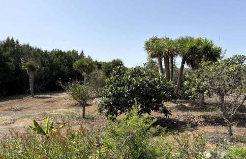 Casa Rural Ca'Chispita - Foto 74