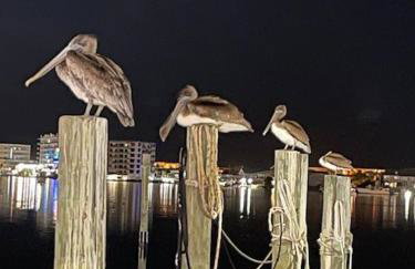 Pirates Bay B204 - Foto 39