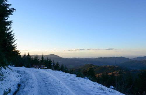 Ferienwohnung Fürstenkopf - Foto 34