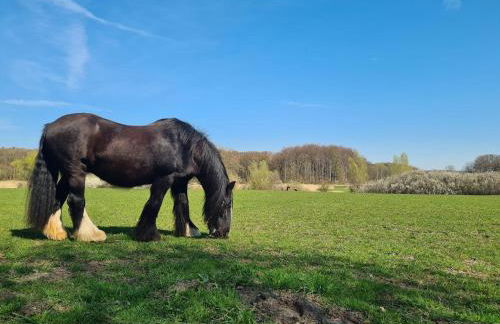 Krusenhagen Apartment With Garden - Foto 50