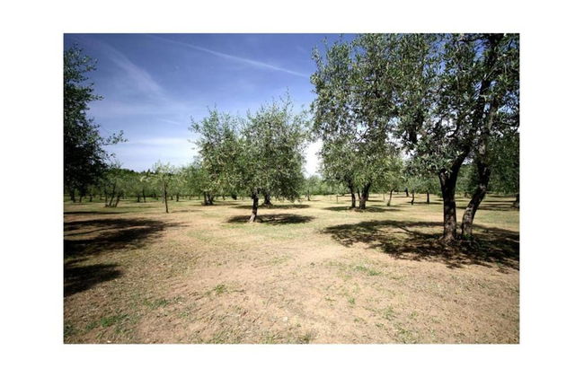 Golden Days in San Donato Home - Foto 23