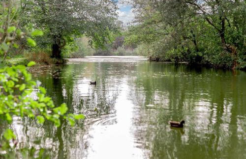 1 Bed in Newquay oc-89942 - Foto 19