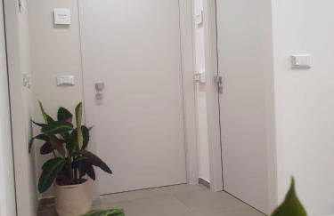 Playa degli Angeli Grecale - Foto 14