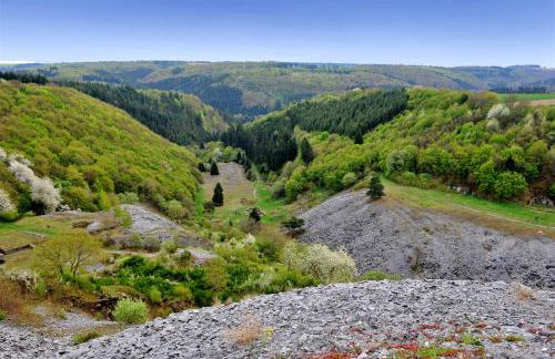 FeWo zum Römerturm - Foto 24