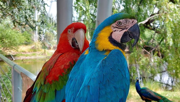 Río Negro Valley + Bubalcó Ecopark Tour - Photo 4