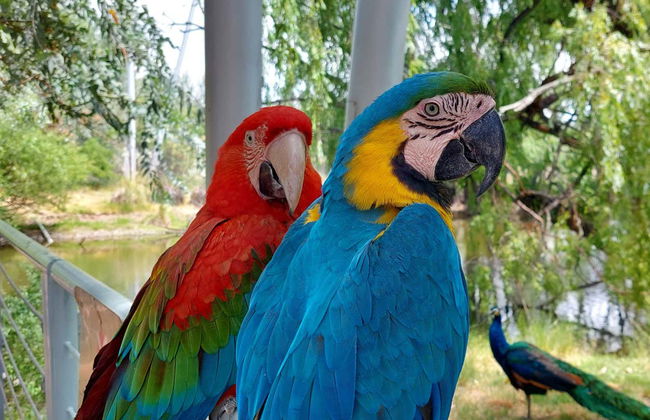 Excursion au Valle del Río Negro + Ecoparc Bubalcó - Photo 4