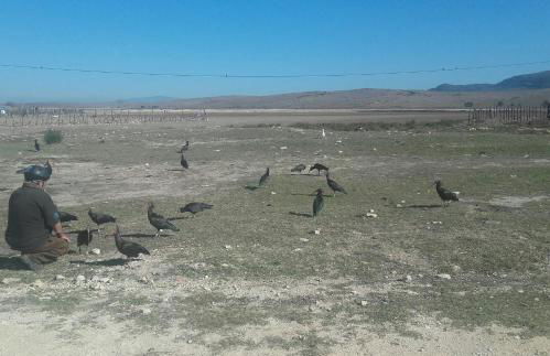 Apartamento de Cine - Photo 23