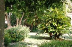 Residence Il Giunco - Foto 31