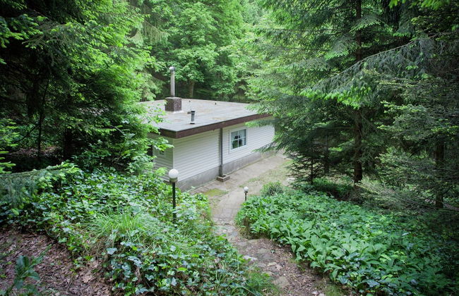 Forest Chalet in Lanklaar - Foto 18