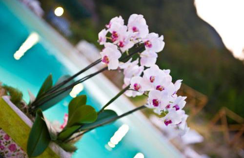 Agriturismo Ca' Montioni - Foto 17