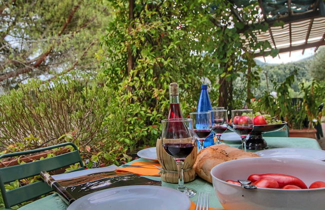 Country House With Swimming Pool and Garden With Mediterranean Plants - Foto 52