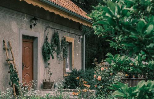 Tajna Bazia - Foto 12