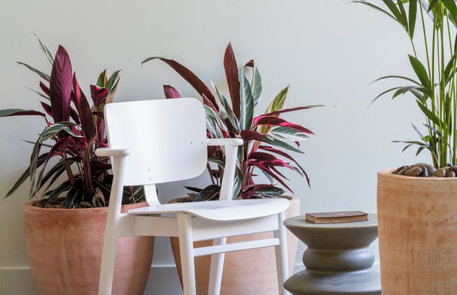 Eden Locke - Photo 10