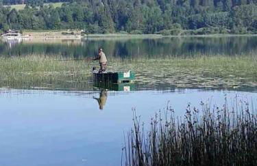 Chalet Charmant rénové au bord du Lac St Point - Foto 66