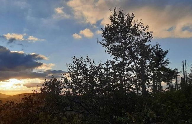 Welcoming Chalet Near Forest in Rohrnbach - Foto 40