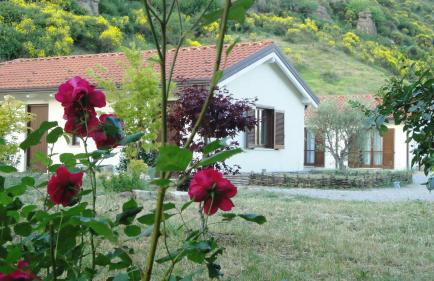 Taverna Centomani - Photo 3