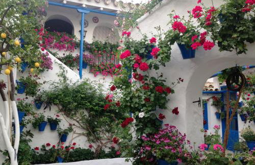 Patio San Lorenzo - Foto 28