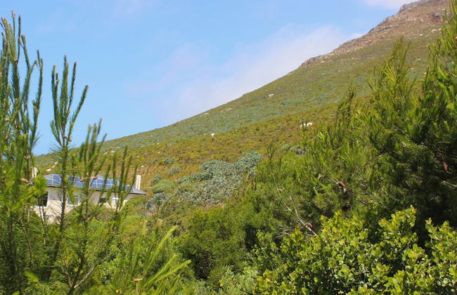 Seascape, Simon's Town - Foto 46