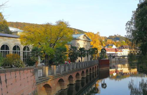 Apartments Gala, ruhige Lage, stadtnah - Foto 62