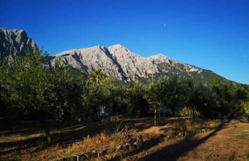 Pinnettu sardo tipica abitazione sarda in ecosistema insetti e animaletti simpatici in condivisione bagno esterno a 10metri Leggere attentamente Prima di prenotare - Foto 80