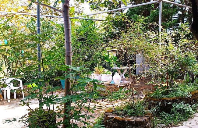 Holiday Pension Anna - Photo 8