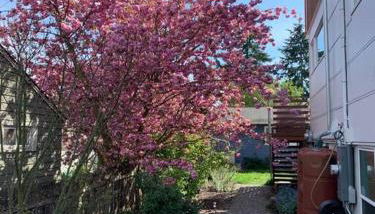 LEED Platinum Green Home Getaway - Foto 4