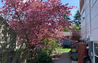 LEED Platinum Green Home Getaway - Foto 4